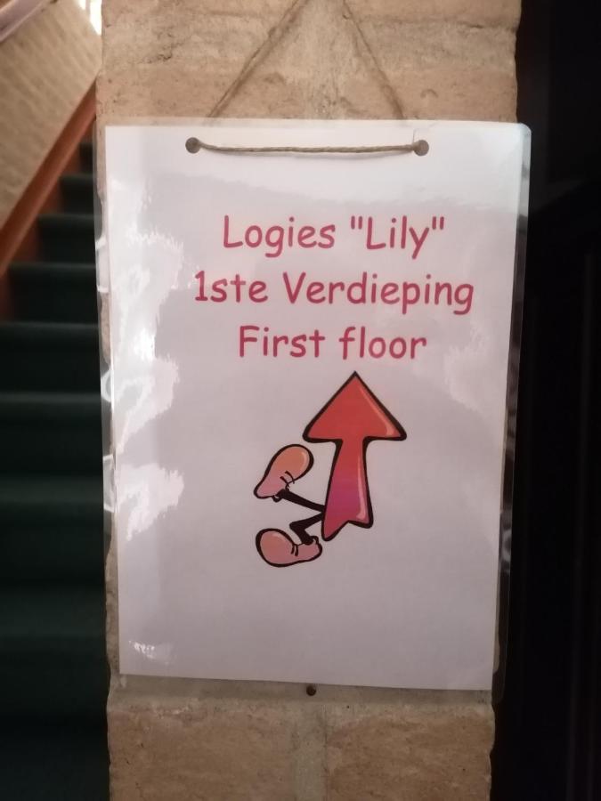 Logies Lily Apartment Oudenburg ภายนอก รูปภาพ
