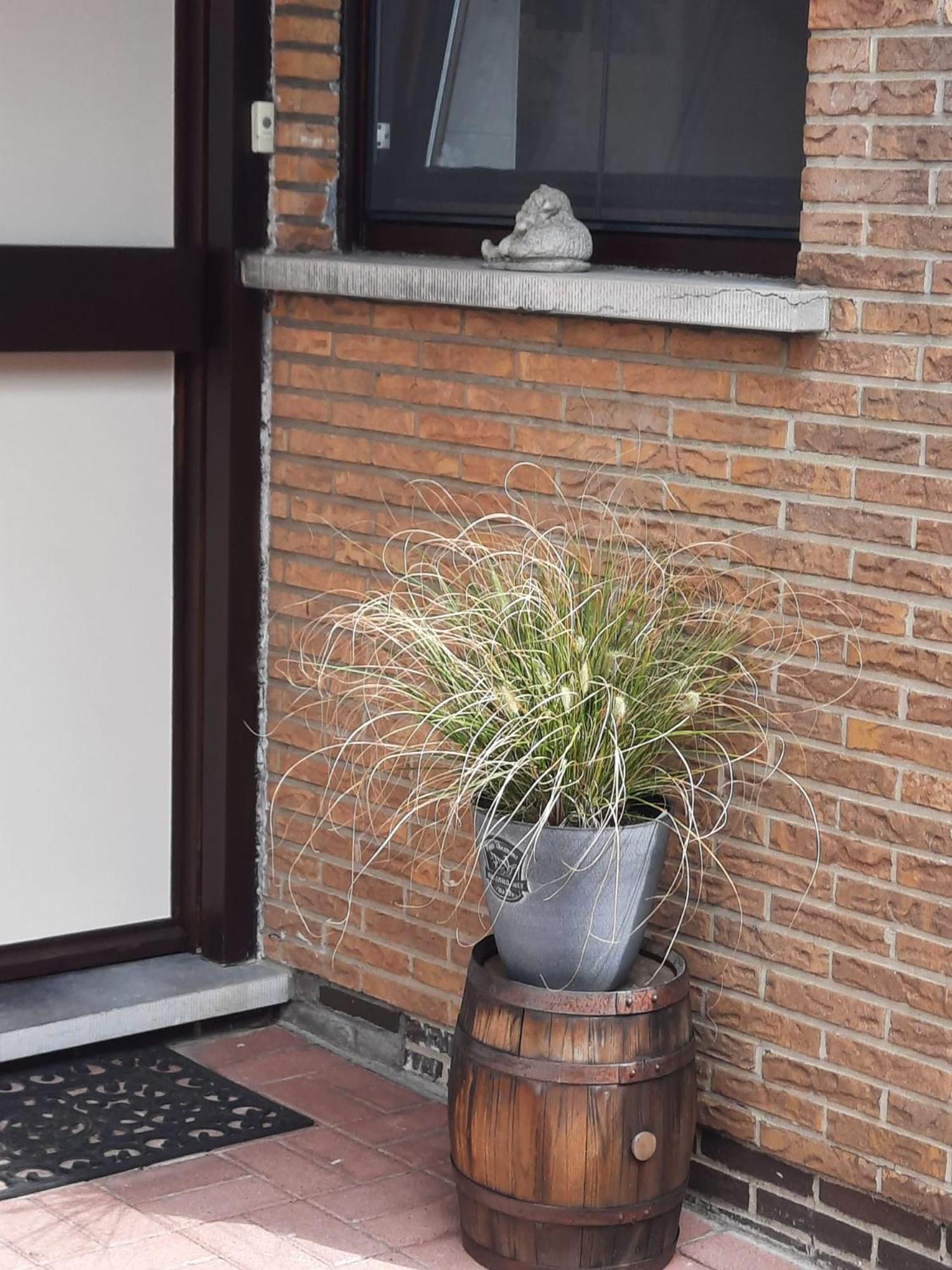 Logies Lily Apartment Oudenburg ภายนอก รูปภาพ